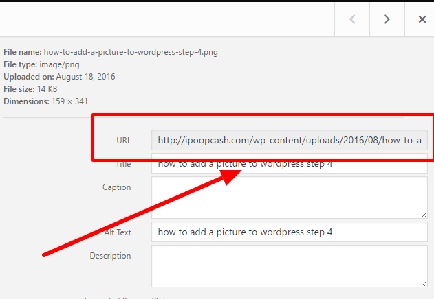 how to add a picture to wordpress step 5